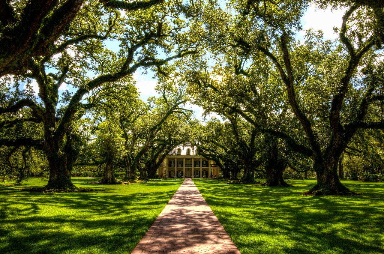 Travel: Oak Alley Plantation